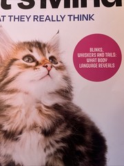 Inside Your Cat’s Mind September 2025 Magazine What They Really Think. New!