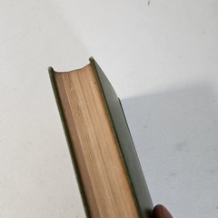 Lesley Chilton By Eliza Orne White 1903 HC Book 1st Edition