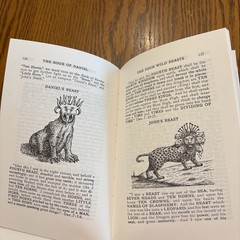 The Book Of Daniel By Rev. Clarence Larkin HBDJ