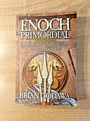 Enoch Primordial Chronicles of the Nephilim The Lost Book Volume 2 Paperback