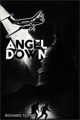 Angel Down (Paperback or Softback)