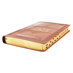 KJV Tan Large Print Thumb Index Edition BRAND NEW in Shrink Wrap!!!