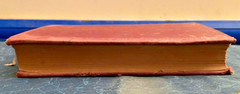 The Deerslayer J. Fenimore 1897 Cooper Lupton Publishing 422 Pages