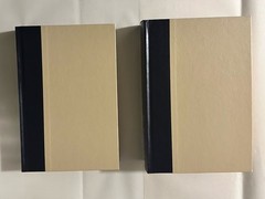 Charles Dickens 2 Book Lot Copperfield / Great Expectations HC VNTG Doubleday