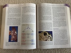Porth’s Essentials of Pathophysiology – 5th Ed. – Paperback – Norris – Very Good
