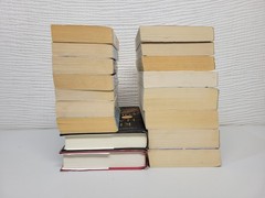 Lot of 17 Paperback & Hardcover Books by Kristin Hannah