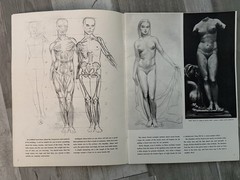 Vintage Walter T Foster Drawing the Figure Russell Iredell Art Book No 20
