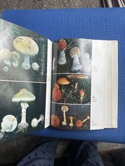MUSHROOMS OF NORTH AMERICA by O.K. Miller, HC/DJ 4th Ed, 422 color plates, VG+
