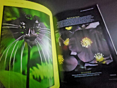 The Old Farmer’s Almanac Garden Guide 2026 – All Information Needed For Success