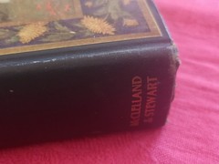 “Rilla of Ingleside” (1921) L.M. Montgomery, WWI, FWW novel Toronto McClelland