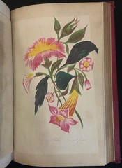 THE LADIES WREATH Antique Victorian Gift Book COLOR PLATES Fine Leather Binding