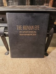 The Human Eye in Anatomical Transparencies [Hardcover] Kronfeld-4th Print 1948