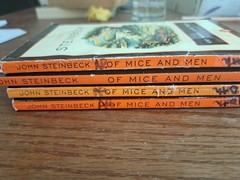 Lot 4 books Of Mice and Men John Steinbeck Classroom set Guided Reading 1993
