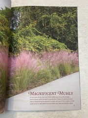 31 81 The Magazine 31•81 of Jekyll Island Georgia Fall Winter 2024 Womens League