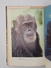 In The Shadow of Man 1971 Jane Van Lawick-Goodall HC DJ Book Club Edition