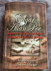 Edgar Allan Poe Illustrated Entire Stories & Poems Paperback Book 824 Pages