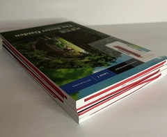 Mandarin Companion Level 1 Set of 4 Chinese Graded Readers Beginner Bundle