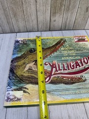 Vtg A Social History Of The American Alligator Vaughn L Glasgow 1991 Hardcover