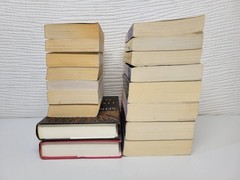 Lot of 17 Paperback & Hardcover Books by Kristin Hannah