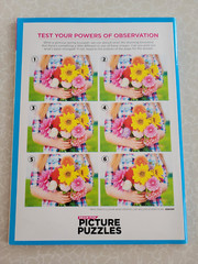 Brain Fun Picture Puzzles: Bundle of 2 – 63 Pages & 5 Categories of Fun In Each