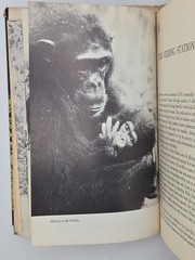 In The Shadow of Man 1971 Jane Van Lawick-Goodall HC DJ Book Club Edition