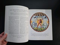 Healing Body Meditations 30 Color Mandalas Paperback 160 Pages Natural Healing