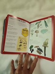 Survival Skills Handbook Volume 1 by Bear Grylls By Kane Miller Edc Publishing