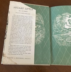 1st Ed E.B. White STUART LITTLE 1945 HCDJ GD