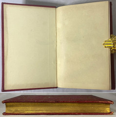 THE LADIES WREATH Antique Victorian Gift Book COLOR PLATES Fine Leather Binding