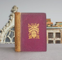 Rare Antique Old Book Vegetable Life 1866 Plants Trees Garden Nature Mushrooms ⭐