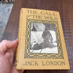 CALL OF THE WILD by Jack London Illust 1910 Grossett Pub. Norwood Press B29