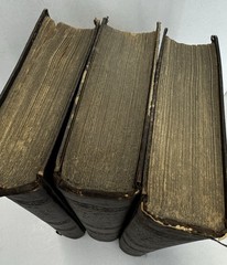The Rise of the Dutch Republic (1858) 3 Volume Set John Lothrop Motley