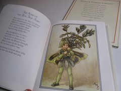 Flower Fairies Library by Cicely Mary Barker 8 Hardcover Books in Slipcase