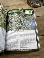 The Forager’s Guide to Wild Foods – The North American Edition – Nicole Apelian