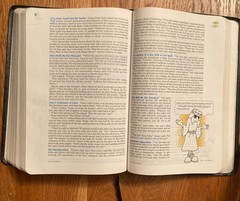 Holy Bible NIV TEEN Study Bible Zonderan Bonded Leather English Black