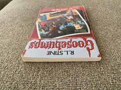 G/G+ Unnumbered 1st print Goosebumps #4 Say Cheese and Die! ~ R.L. Stine