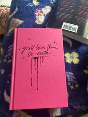 Y/A, Sapphic, Book, Mystery, Roaring Brook Press
