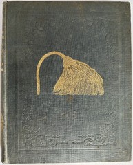 Natural History of New York, Geology of New York Part III Comprising of the Th..