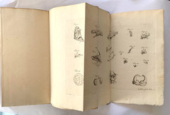 A Mechanical Account of Poisons In Several Essays 1708 Richard Mead Ralph Smith