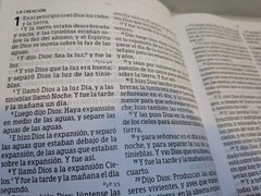 Holman Reina Valera Revision 1960 – Letra Grande – Tamaño Manual – Gris Y Marron