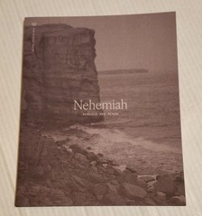 She Reads Truth NEHEMIAH Workbook Christian Study Guide Bible Scripture Jesus