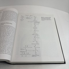 Exercise Physiology: Human Bioenergetics and Its Applications, 4th ed.