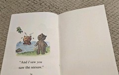 I See, You Saw By Nurit Karlin