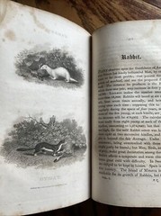 Daniel, Rev. William B. Rural Sports Vol 1. 1812 Edition: Mammals, Stags, Hares
