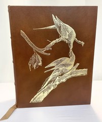 Audubon’s Birds of America:Baby Elephant Folio AbbevillePress Signed &#rd MINT!