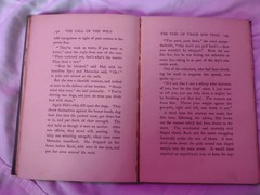 Vintage The Call of the Wild HC by Jack London 1906 Print Grosset & Dunlap Book