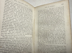 Wild Oats Sown Abroad On Off Soundings Theodore Whitmer 1872 Antique Book