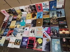 Lot of 8 Large Trade Literature Fiction Paperback Popular UNSORTED Mix Books Set