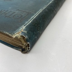 Lothrop’s Annual 1889 1st Ed.-Illus Lithographic Color Plates Children’s Book