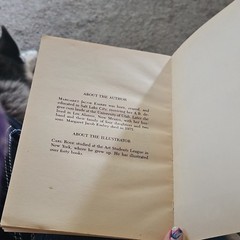 The Blue-Nosed Witch Paperback Illustrated Margaret Embry Carl Rose Bantam 1975